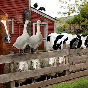 Fotoğraf Gary Winick