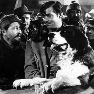 Fotoğraf Clark Gable