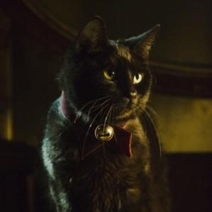 Fotoğraf Stuart Gordon