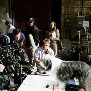 Fotoğraf Brian Robbins