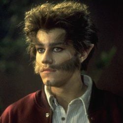 Fotoğraf Big Wolf on Campus