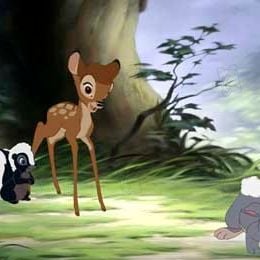 Fotoğraf Bambi 2