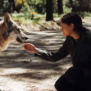 Fotoğraf Rose Bosch