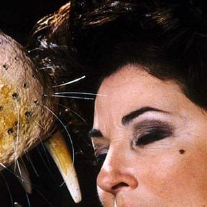 Fotoğraf Michel Piccoli