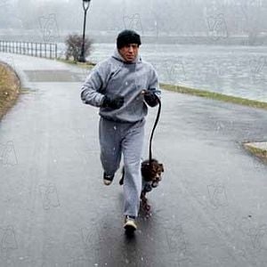 Fotoğraf Sylvester Stallone