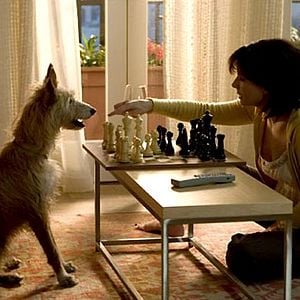 Fotoğraf Alejandro Agresti