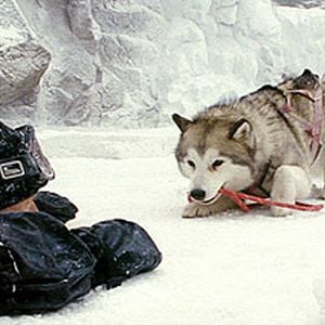 Fotoğraf Frank Marshall