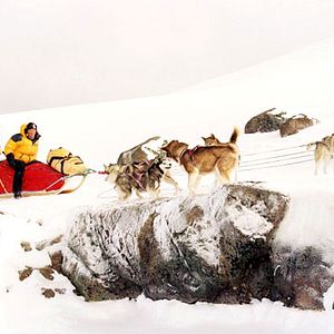 Fotoğraf Frank Marshall