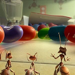 Fotoğraf Bitirim Karınca