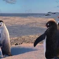 Fotoğraf George Miller