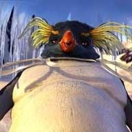 Fotoğraf Neşeli Ayaklar