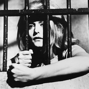 Fotoğraf Samuel Fuller