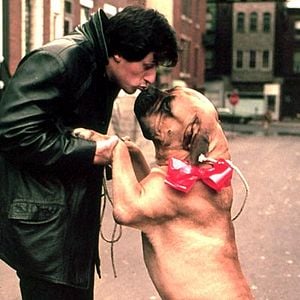 Fotoğraf John G. Avildsen