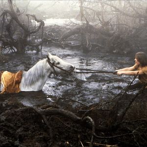 Fotoğraf Wolfgang Petersen