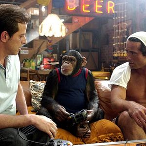 Fotoğraf Nicholaus Goossen