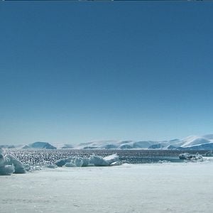 Fotoğraf Beyaz Gezegen