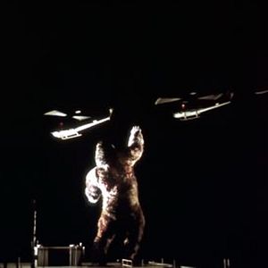 Fotoğraf John Guillermin