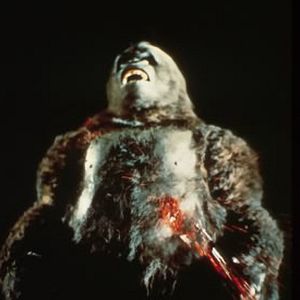 Fotoğraf John Guillermin