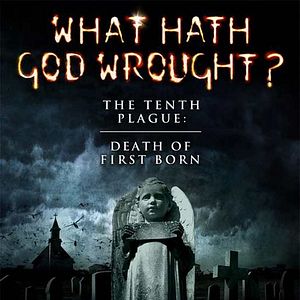 Fotoğraf Hasat Zamanı