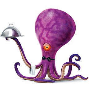 Fotoğraf Stephen J. Anderson