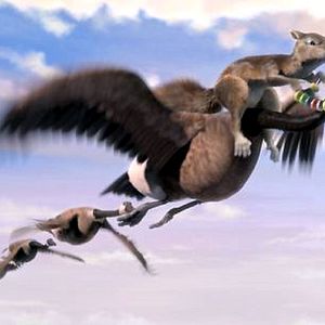 Fotoğraf Vahşi Doğa