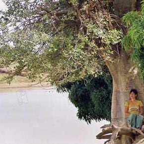 Fotoğraf Romane Bohringer