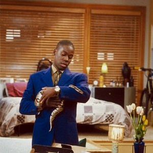 Fotoğraf Veronica's Closet