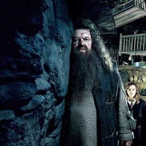 Fotoğraf Harry Potter ve Zümrüdüanka Yoldaşlığı