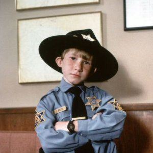 Fotoğraf Picket Fences