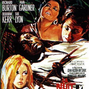 Fotoğraf İguana Geceleri