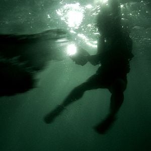 Fotoğraf Timsah: Nehrin Dişleri