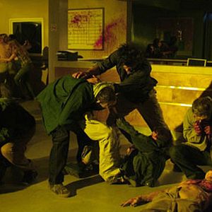 Fotoğraf Steve Miner