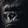 Fotoğraf King Kong