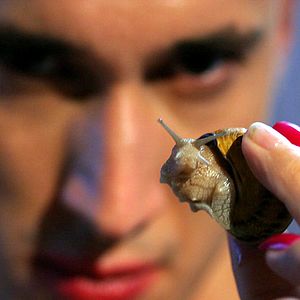 Fotoğraf Grégoire Colin