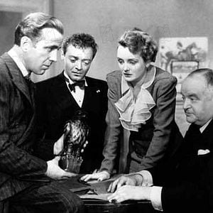 Fotoğraf Malta Şahini