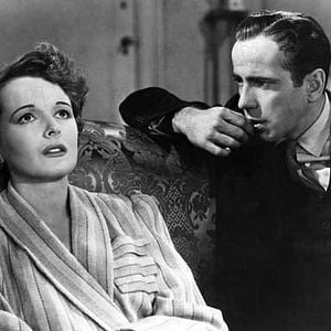 Fotoğraf Malta Şahini