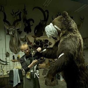 Fotoğraf Taxidermia