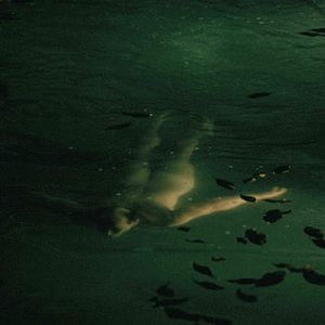 Fotoğraf Jean-Marc Barr