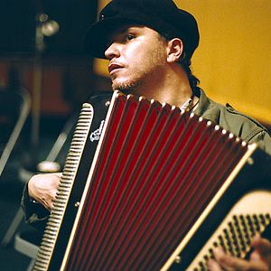 Fotoğraf Kaldırım Serçesi