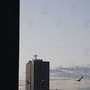 Fotoğraf Andrea Arnold