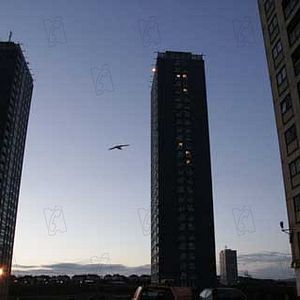 Fotoğraf Andrea Arnold