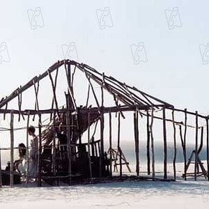 Fotoğraf Andrucha Waddington