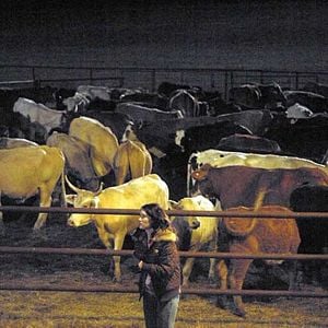 Fotoğraf Hamburger Cumhuriyeti