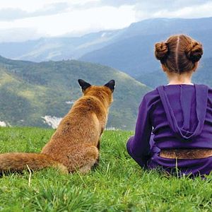 Fotoğraf Arkadaşım Tilki