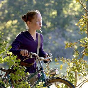 Fotoğraf Arkadaşım Tilki