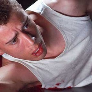 Fotoğraf M.J. Bassett