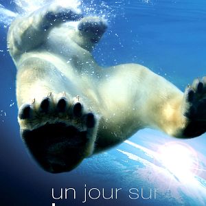 Fotoğraf Alastair Fothergill