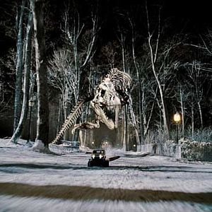 Fotoğraf Shawn Levy