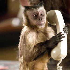 Fotoğraf Müzede Bir Gece