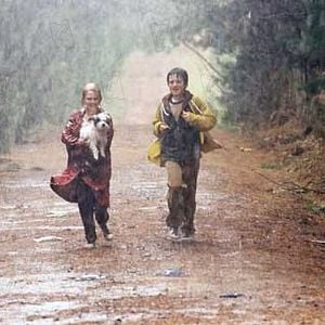 Fotoğraf Terabithia Köprüsü